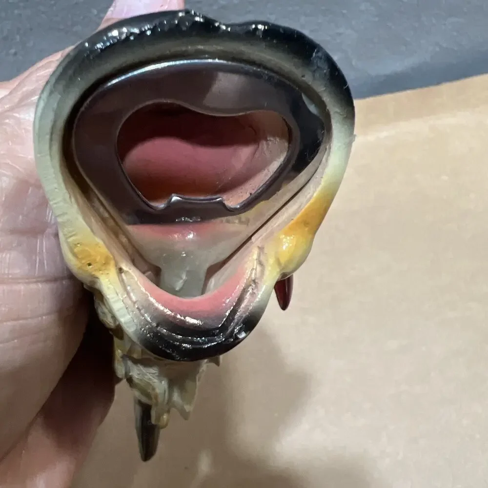 Adventure Out There Novelty Wide Mouth Bass Fish Bottle Opener Hard Plastic 5.5